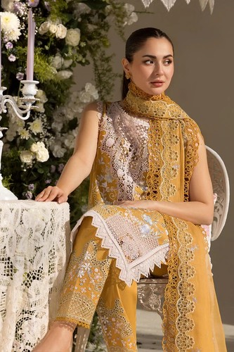 Pakistanischer designer - pakistanischer,